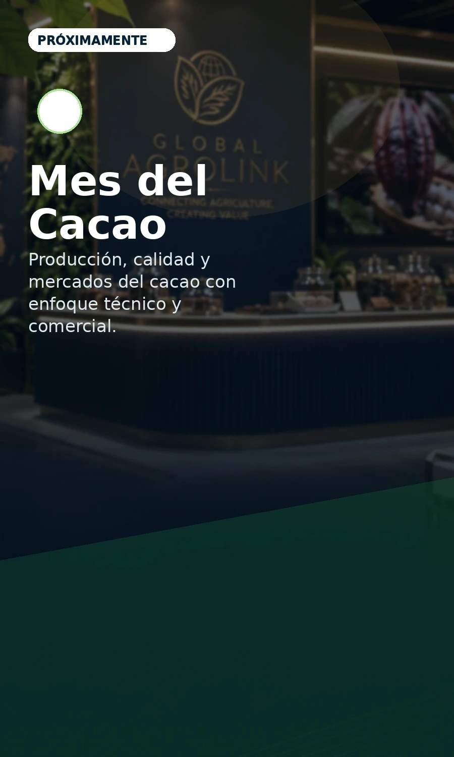 Mes del Cacao